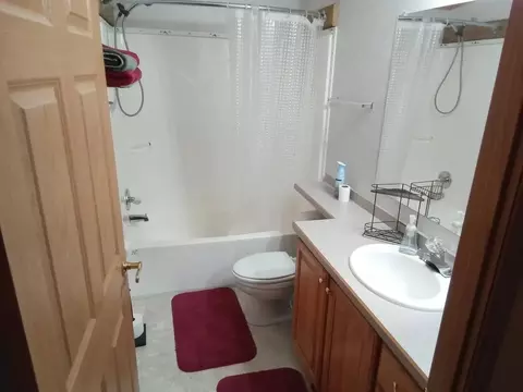 Bath - 11067 S River Rd, Evart, MI 49631 photo 3 of 4