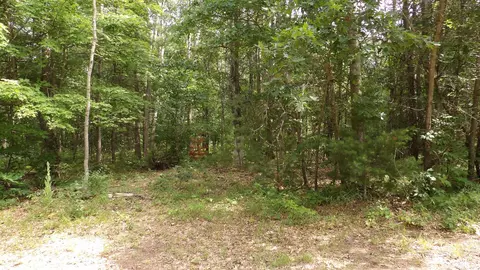 Exterior - 11067 S River Rd, Evart, MI 49631 photo 21 of 22