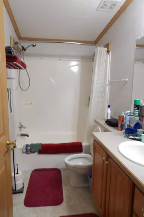 Bath - 11067 S River Rd, Evart, MI 49631 photo 4 of 4