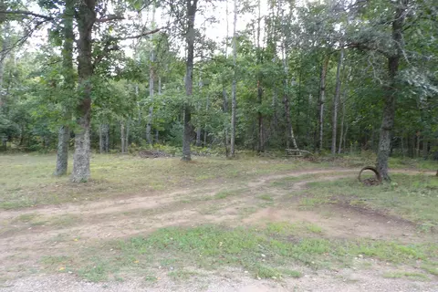 Exterior - 11067 S River Rd, Evart, MI 49631 photo 10 of 22