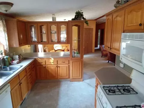 Kitchen - 11067 S River Rd, Evart, MI 49631 photo 1 of 5