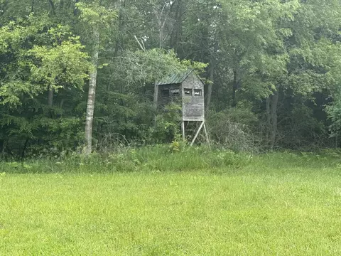 7 E Johnson Rd, Ashley, MI 48806 photo 31