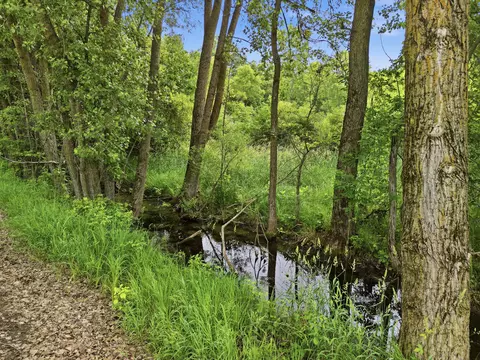 7 E Johnson Rd, Ashley, MI 48806 photo 5