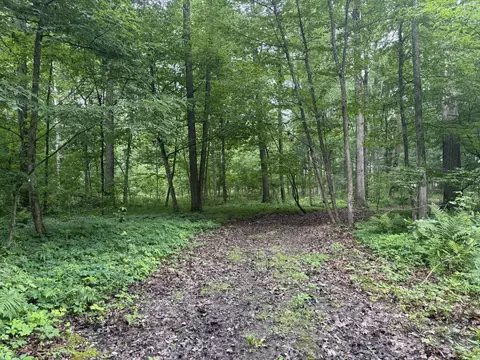 7 E Johnson Rd, Ashley, MI 48806 photo 8