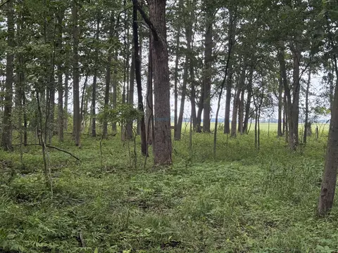 7 E Johnson Rd, Ashley, MI 48806 photo 10