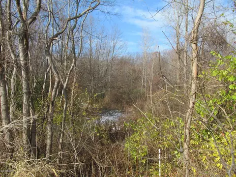 0 W Marquette Woods Rd, Stevensville, MI 49127