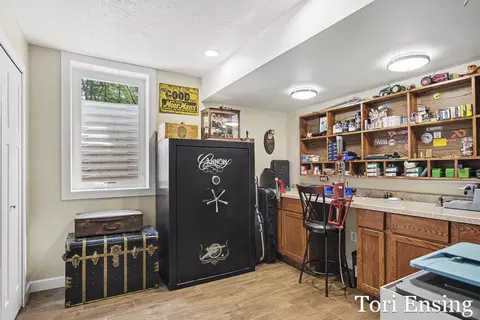 Other - 481 S Nevins Rd, Stanton, MI 48888 photo 9 of 16