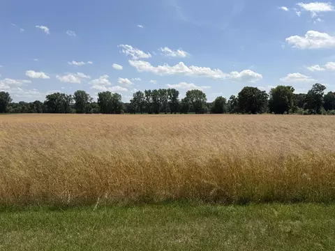 Other - 7565 Ormes Rd, Vassar, MI 48768 photo 9 of 13