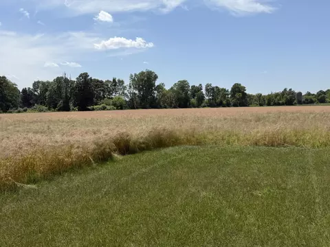 Exterior - 7565 Ormes Rd, Vassar, MI 48768 photo 3 of 3