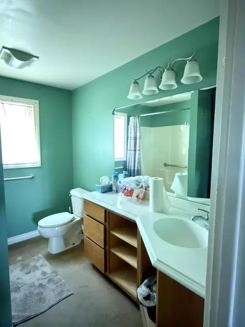 Bath - 7565 Ormes Rd, Vassar, MI 48768 photo 1 of 2