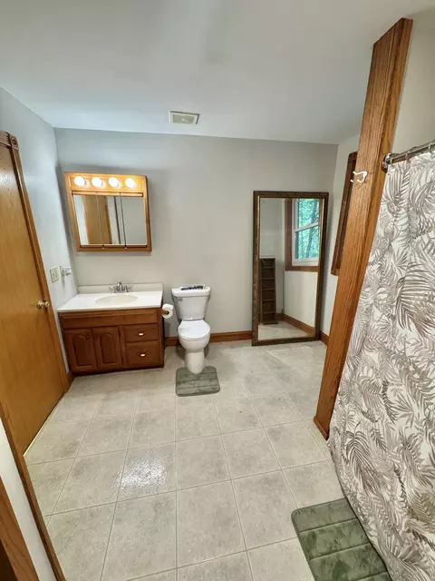 Bath - 9462 E Colby Rd, Crystal, MI 48818 photo 5 of 5