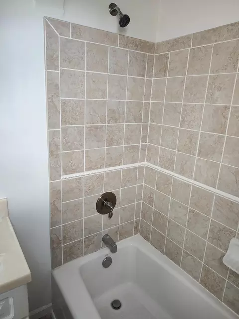 207 N Douglas St, Bronson, MI 49028 photo 18
