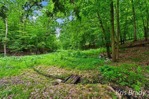 Exterior - 8275 Bailey Dr SE, Ada, MI 49301 photo 3 of 11
