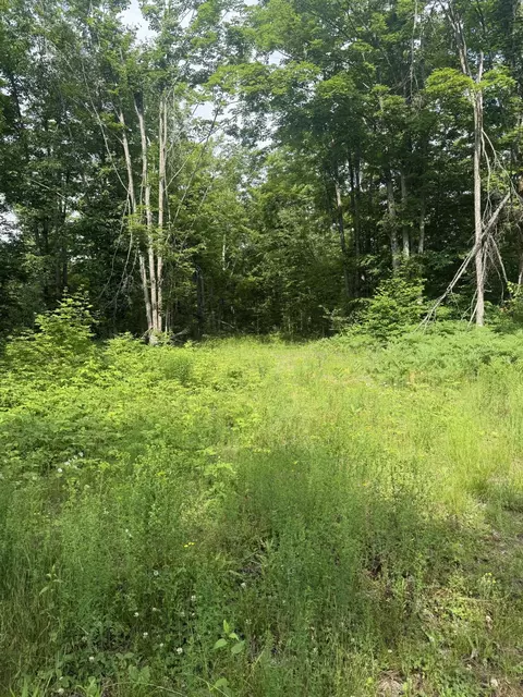 00 Babbit Rd, Frederic, MI 49733 photo 10