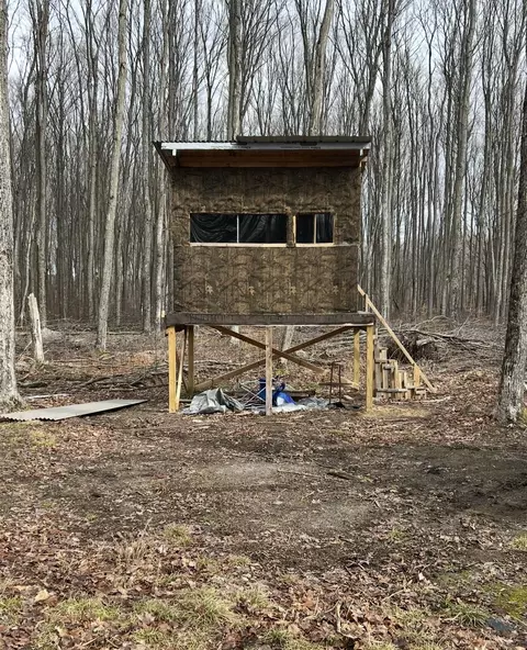 00 Babbit Rd, Frederic, MI 49733 photo 32