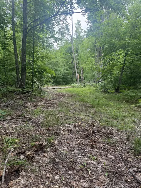 00 Babbit Rd, Frederic, MI 49733 photo 13