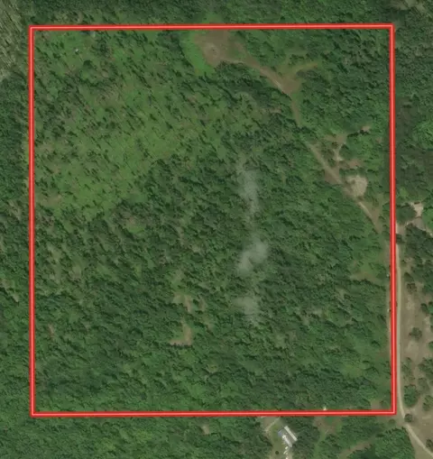00 Babbit Rd, Frederic, MI 49733 photo 4