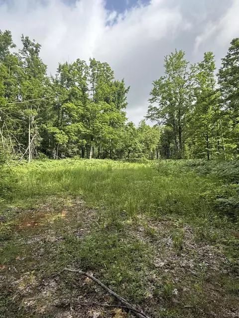 00 Babbit Rd, Frederic, MI 49733 photo 8