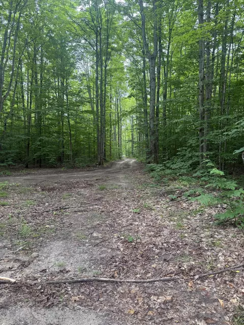 00 Babbit Rd, Frederic, MI 49733 photo 12