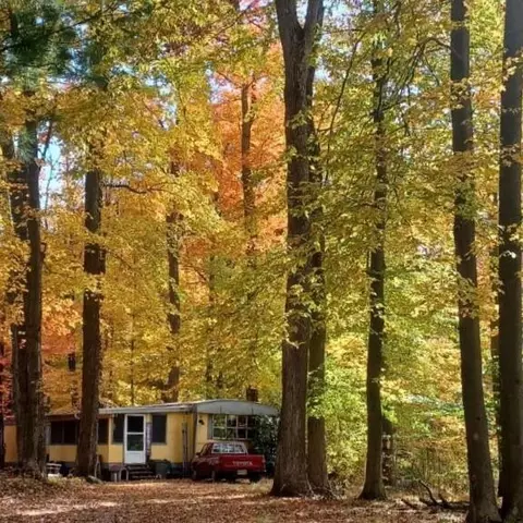 2776 19 Mile Rd NE, Cedar Springs, MI 49319