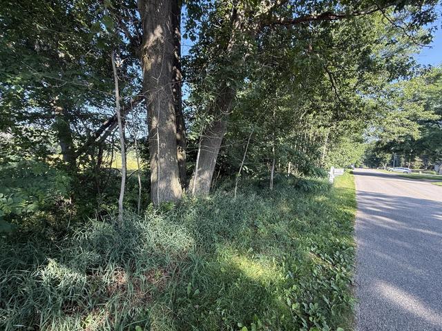 w royal road LOT B, Canadian Lakes, MI 49346