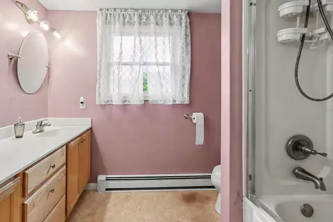 Bath - 515 E Pine St, Fremont, MI 49412 photo 3 of 4
