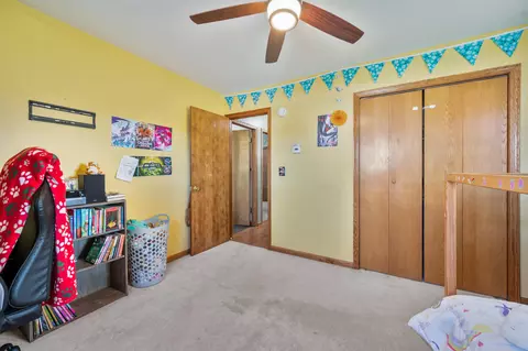 Bedroom - 20565 Okemos Rd, Big Rapids, MI 49307 photo 6 of 6