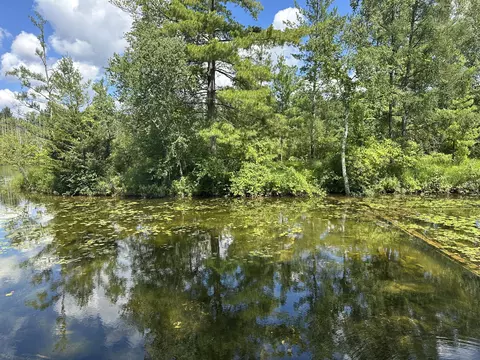 1743 W 68th St, Baldwin, MI 49304 photo 1