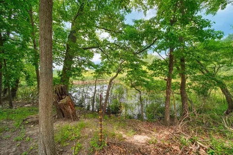 View/Area - 3930 Hoyer Rd, Jackson, MI 49201 photo 1 of 14