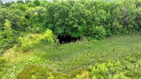 View/Area - 3930 Hoyer Rd, Jackson, MI 49201 photo 11 of 14