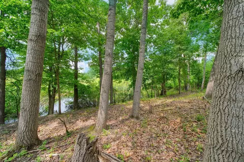 Other - 3930 Hoyer Rd, Jackson, MI 49201 photo 10 of 12
