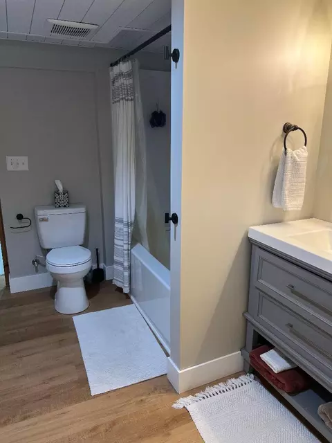 Bath - 126 Johnson St, Edmore, MI 48829 photo 3 of 3