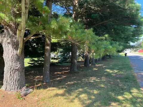 Exterior - 126 Johnson St, Edmore, MI 48829 photo 6 of 6