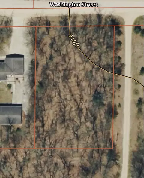 V/l E Washington Street, White Cloud, MI 49349 photo 6