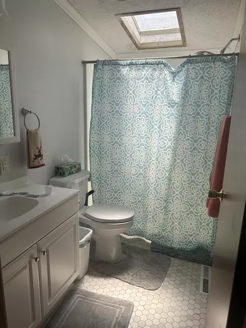 Bath - 4932 E Polk St, White Cloud, MI 49349 photo 3 of 5