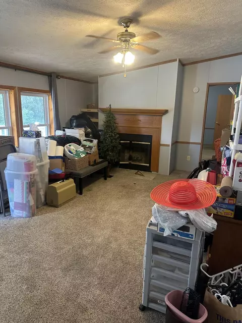 Living - 4932 E Polk St, White Cloud, MI 49349 photo 1 of 1