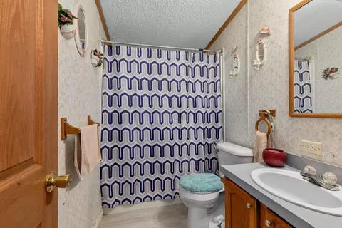 Bath - 3839 Belding Rd, Belding, MI 48809 photo 2 of 2