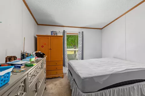 Bedroom - 3839 Belding Rd, Belding, MI 48809 photo 2 of 2