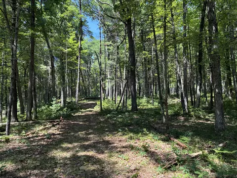 V/l E 40th Street, White Cloud, MI 49349 photo 16