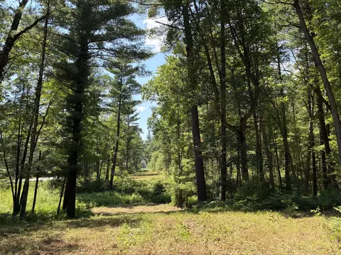 V/l E 40th Street, White Cloud, MI 49349 photo 12
