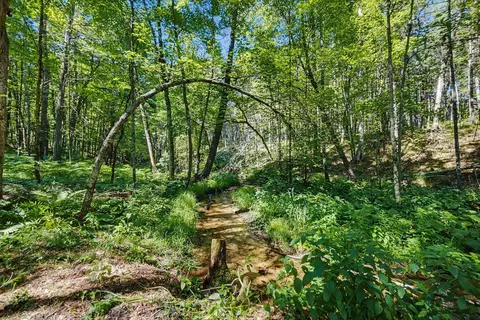 V/l E 40th Street, White Cloud, MI 49349 photo 11
