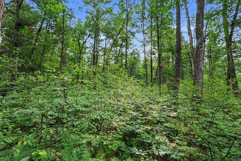 V/l E 40th Street, White Cloud, MI 49349 photo 15