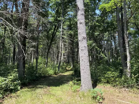 V/l E 40th Street, White Cloud, MI 49349 photo 13