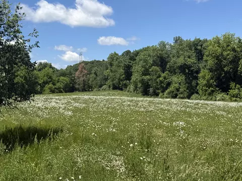 Other - Hagerman Road, Leonard, MI 48367 photo 8 of 31