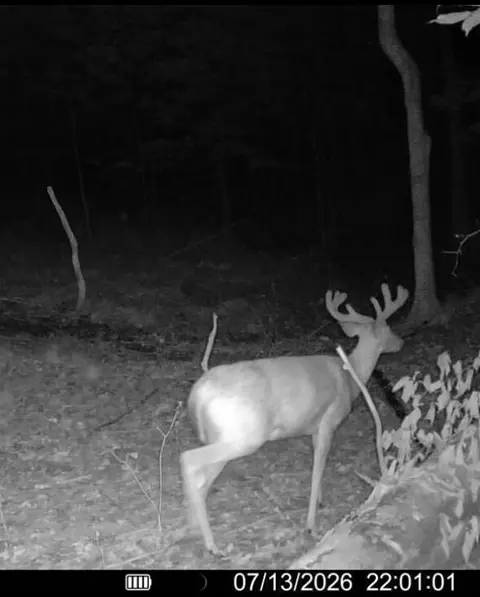 Other - Hagerman Road, Leonard, MI 48367 photo 26 of 31