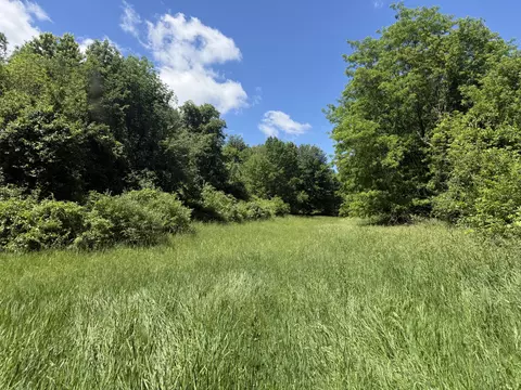 Other - Hagerman Road, Leonard, MI 48367 photo 5 of 31