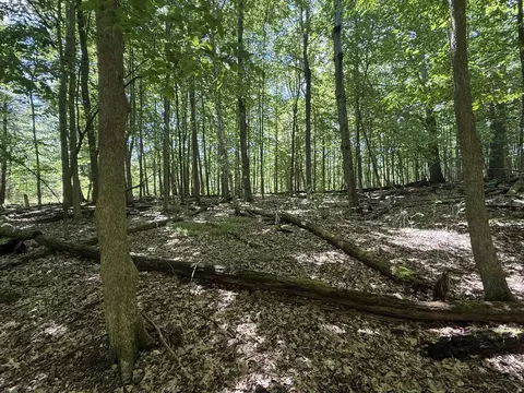 Exterior - Hagerman Road, Leonard, MI 48367 photo 3 of 11