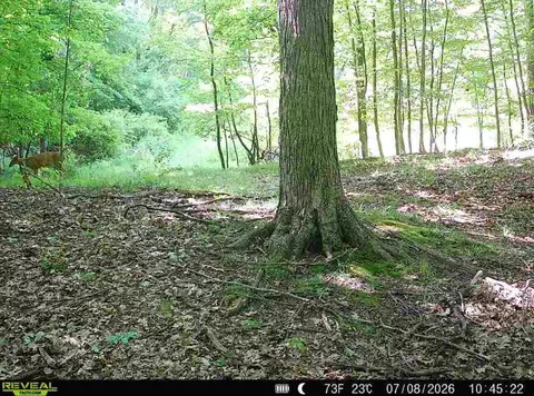 Other - Hagerman Road, Leonard, MI 48367 photo 28 of 31