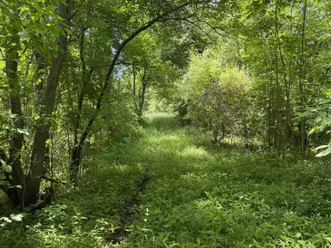 Other - Hagerman Road, Leonard, MI 48367 photo 9 of 31