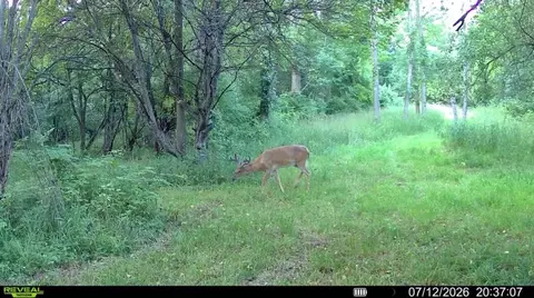 Other - Hagerman Road, Leonard, MI 48367 photo 25 of 31